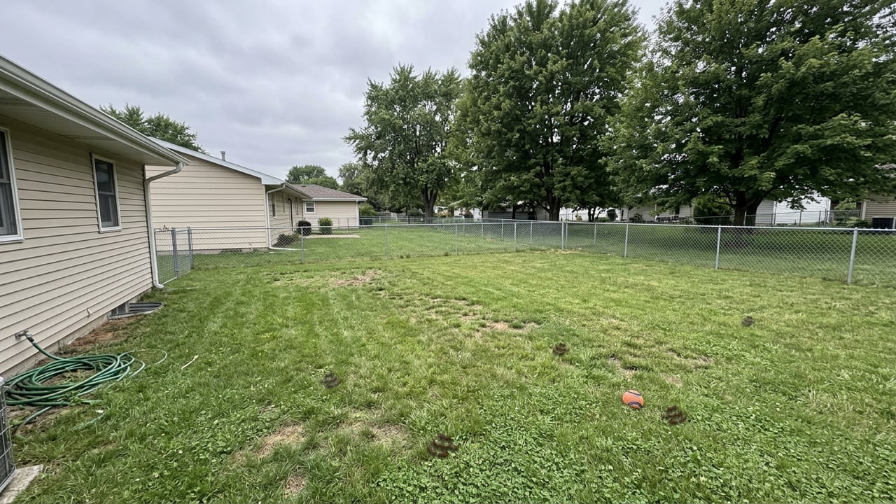 An ordinary Muncie backyard with dog waste scattered across the lawn before a cleanup visit